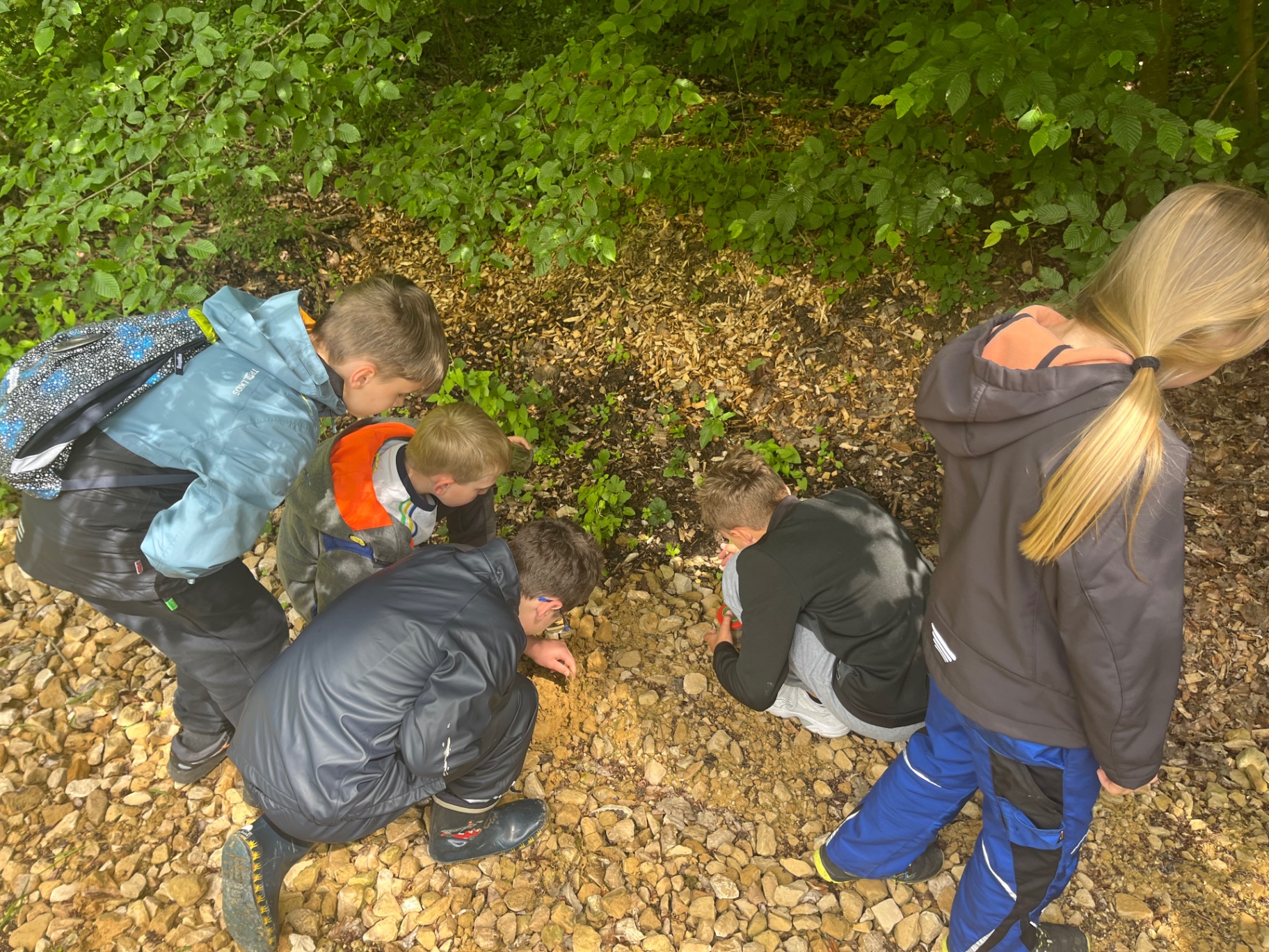 Kinder entdecken gemeinsam den Waldboden