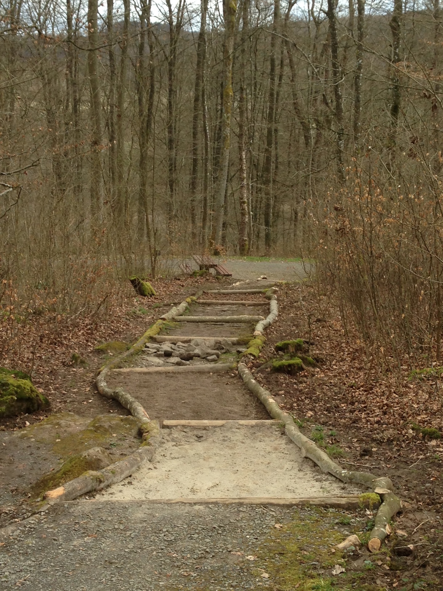 Waldweg – neue Wege entdecken