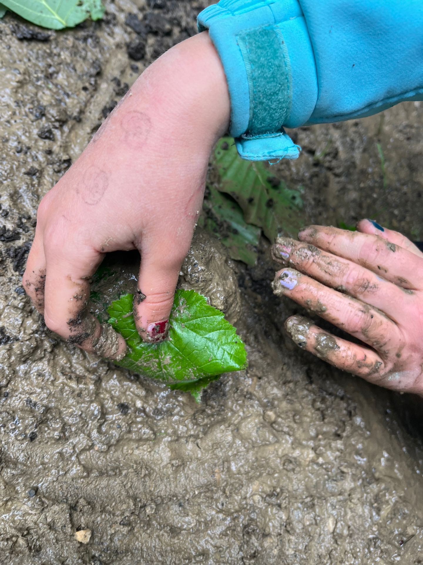 Kinderhände entdecken Erde und Blätter